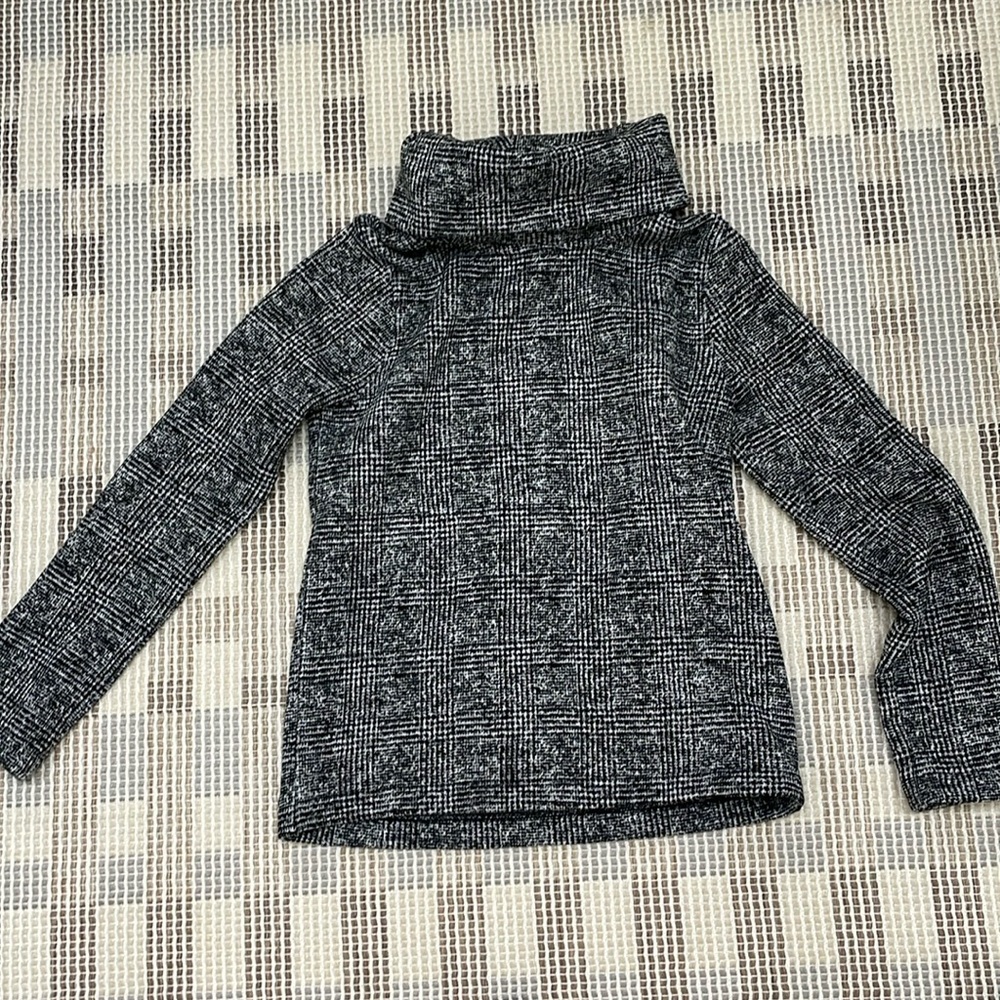 Jcrew turtleneck sweatshirt